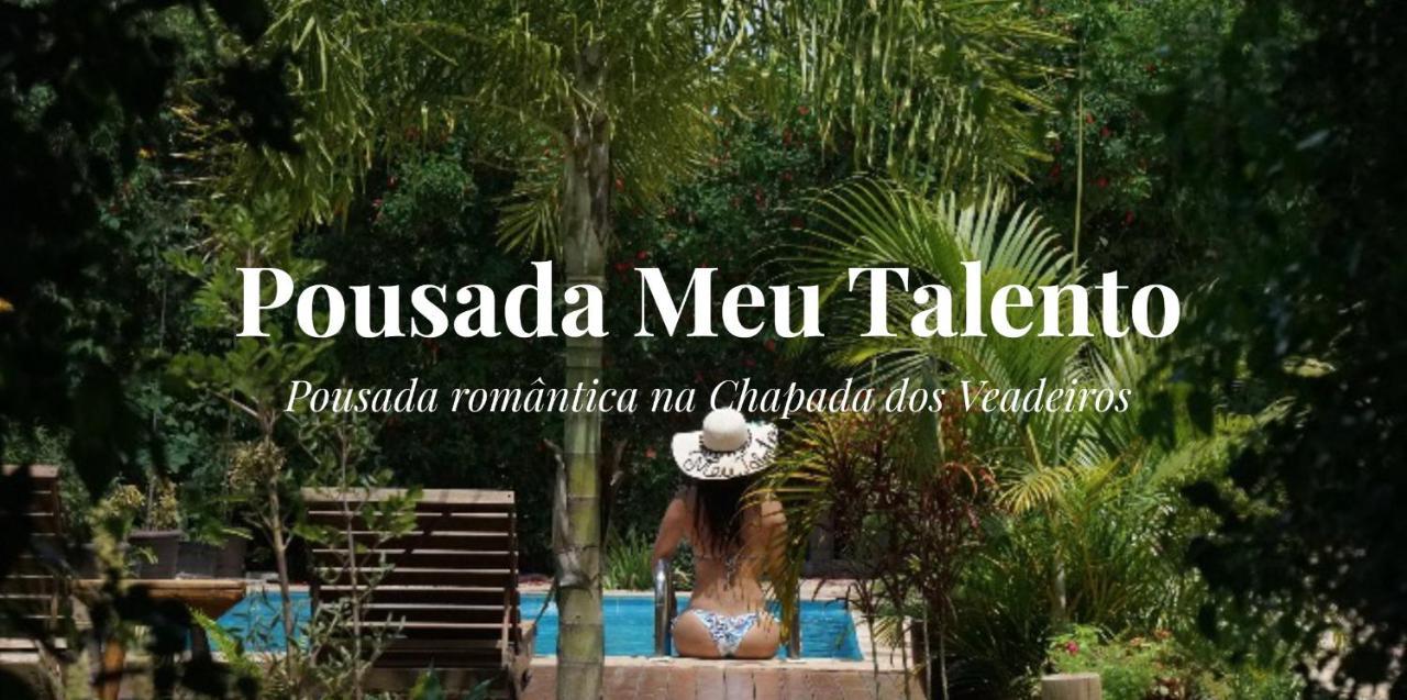 Meu Talento Alto Paraiso de Goias